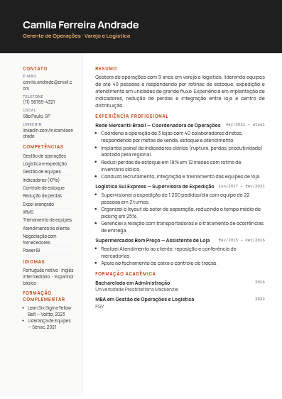 Modelo de currículo Executivo